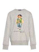 Polo Bear Fleece Sweatshirt Tops Sweatshirts & Hoodies Sweatshirts Grey Ralph Lauren Kids