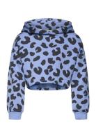 Cropped All Over Printed Hoody Tops Sweatshirts & Hoodies Hoodies Blue Tom Tailor