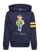 Polo Bear Fleece Hoodie Tops Sweatshirts & Hoodies Hoodies Navy Ralph Lauren Kids