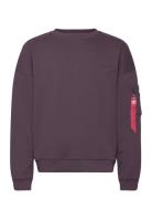 Alpha Essentials Rl Sweater Designers Sweatshirts & Hoodies Sweatshirts Purple Alpha Industries