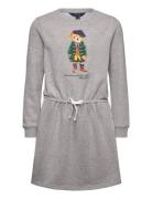 Polo Bear Fleece Dress Dresses & Skirts Dresses Casual Dresses Long-sleeved Casual Dresses Grey Ralph Lauren Kids