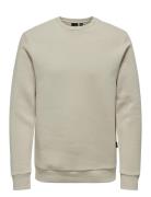 Onsceres Crew Neck Noos Tops Sweatshirts & Hoodies Sweatshirts Beige ONLY & SONS