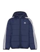 Padded Jacket Sport Jackets & Coats Puffer & Padded Navy Adidas Originals