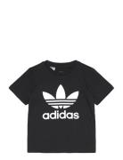 Trefoil Tee Tops T-Kortærmet Skjorte Black Adidas Originals