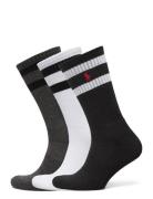 Athletic Crew Sock 3-Pack Underwear Socks Regular Socks Multi/patterned Polo Ralph Lauren Underwear