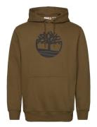 Kennebec River Tree Logo Hoodie Dark Olive Tops Sweatshirts & Hoodies Hoodies Brown Timberland