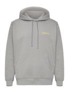 Nb Sunshine Club Hood Forest Frog Tops Sweatshirts & Hoodies Hoodies Grey Nikben