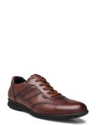 Vernon Low-top Sneakers Brown Lloyd