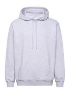 Nb Half Moon Hoodie Grey Tops Sweatshirts & Hoodies Hoodies Purple Nikben