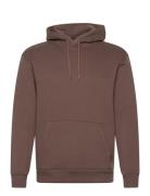 Hco. Guys Sweatshirts Tops Sweatshirts & Hoodies Hoodies Brown Hollister