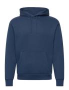 Hco. Guys Sweatshirts Tops Sweatshirts & Hoodies Hoodies Navy Hollister