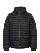 Axis Peak Durable Water Repellent Hooded Jacket Black Foret Jakke Black Timberland