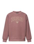 Hmlcosso Sweatshirt Sport Sweatshirts & Hoodies Sweatshirts Pink Hummel