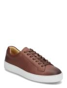 Salas Designers Sneakers Low-top Sneakers Brown Tiger Of Sweden