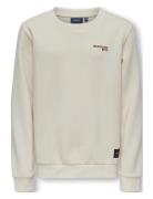 Kobcolumbus L/S Print Swt Tops Sweatshirts & Hoodies Sweatshirts Cream Kids Only