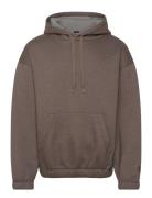 C-Stevens 06 Tops Sweatshirts & Hoodies Hoodies Brown BOSS