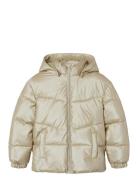 Nkfmaggy Puffer Jacket Shiny Foret Jakke Gold Name It