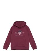 Archive Shield Raglan Hoodie Tops Sweatshirts & Hoodies Hoodies Red GANT