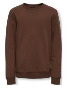 Kobmontgomery L/S Print Swt Tops Sweatshirts & Hoodies Sweatshirts Brown Kids Only