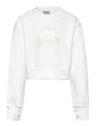 Jg Glm Crew Tops Sweatshirts & Hoodies Sweatshirts White Adidas Sportswear