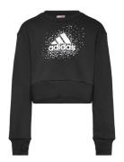 Jg Glm Crew Tops Sweatshirts & Hoodies Sweatshirts Black Adidas Sportswear