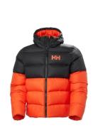 Active Puffy Jacket Foret Jakke Red Helly Hansen