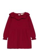 Dress Knit Dresses & Skirts Dresses Baby Dresses Long-sleeved Baby Dresses Burgundy Minymo