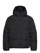 Hco. Guys Outerwear Foret Jakke Black Hollister