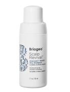 Briogeo Scalp Revival™ Charcoal + Biotin Dry Shampoo 50Ml Tørshampoo Nude Briogeo