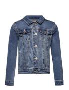 Levi's® Trucker Jacket Outerwear Jackets & Coats Denim & Corduroy Blue Levi's