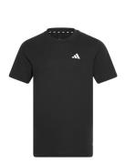 Tr-Es Fr T Sport Men Sports Clothes Sport Tops Sport T-Skjorte Black Adidas Performance