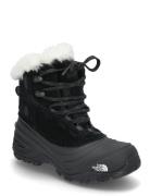 Y Shellista V Lace Wp Sport Winter Boots Winter Boots W. Laces Black The North Face