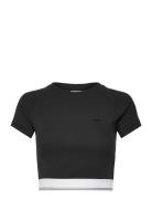 Cs Rib Ss Tee Sport Crop Tops Short-sleeved Crop Tops Black Adidas Originals