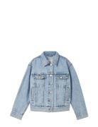 Over D Denim Jacket Outerwear Jackets & Coats Denim & Corduroy Blue Tom Tailor