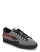 F1 Suede T Sport Sport Shoes Sport Sneakers Sport Low Top Sneakers Grey PUMA Motorsport