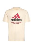 Manchester United Seasonal Graphic T-Shirt Sport Men Men Sports Clothes Sport Tops Sport T-Skjorte Beige Adidas Performance