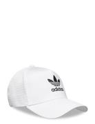 Adicolor Classic Curved Foam Trucker Sport Women Sport Accessories Sport Caps White Adidas Originals