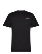 Terrex Back Graphic Tshirt Sport Men Men Sports Clothes Sport Tops Sport T-Skjorte Black Adidas Performance