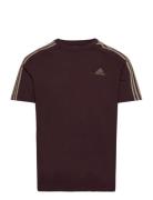 Essentials Single Jersey 3-Stripes T-Shirt Sport Men Men Sports Clothes Sport Tops Sport T-Skjorte Burgundy Adidas Sportswear