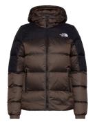 W Diablo Down Hoodie Sport Women Sport Clothing Sport Outerwear Sport Jackets Sport Outdoor Jackets Brown The North Face