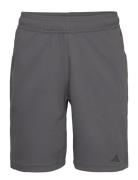 Yoga Base Training Short Sport Sport Clothing Sport Shorts Sport Training Shorts Grey Adidas Performance