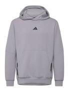 D4T Hoodie Sport Sport Clothing Sport Sweatshirts & Hoodies Sport Hoodies Grey Adidas Performance