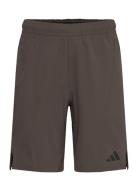 D4T Workout Short Sport Men Sport Clothing Sport Shorts Sport Training Shorts Brown Adidas Performance