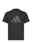 Adidas Train Essentials Camo Graphic Logo T-Shirt Sport Men Men Sports Clothes Sport Tops Sport T-Skjorte Black Adidas Performance