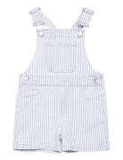 Denim Dungarees Stripes Bottoms Dungarees Blue Mango