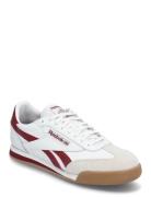 Campio Xt Sport Women Sport Shoes Sport Sneakers Sport Low Top Sneakers White Reebok Classics