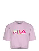 Beuna Cropped Graphic Tee Sport Women Sport Clothing Sports Tops & T-shirts Sport T-Skjorte Pink FILA