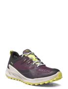 Ke Zionic Wp W-Plum Perfect-Daiquiri Green Sport Sport Shoes Sport Outdoor-hiking Shoes Purple KEEN