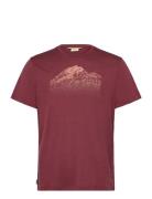 M Mer 150 Tech Lite Ss T Ris Light Sport Men Men Sports Clothes Sport Tops Sport T-Skjorte Burgundy Icebreaker