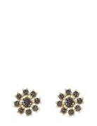 Trinnie Round Ear G/Champagne - Accessories Jewellery Earrings Studs Black SNÖ Of Sweden